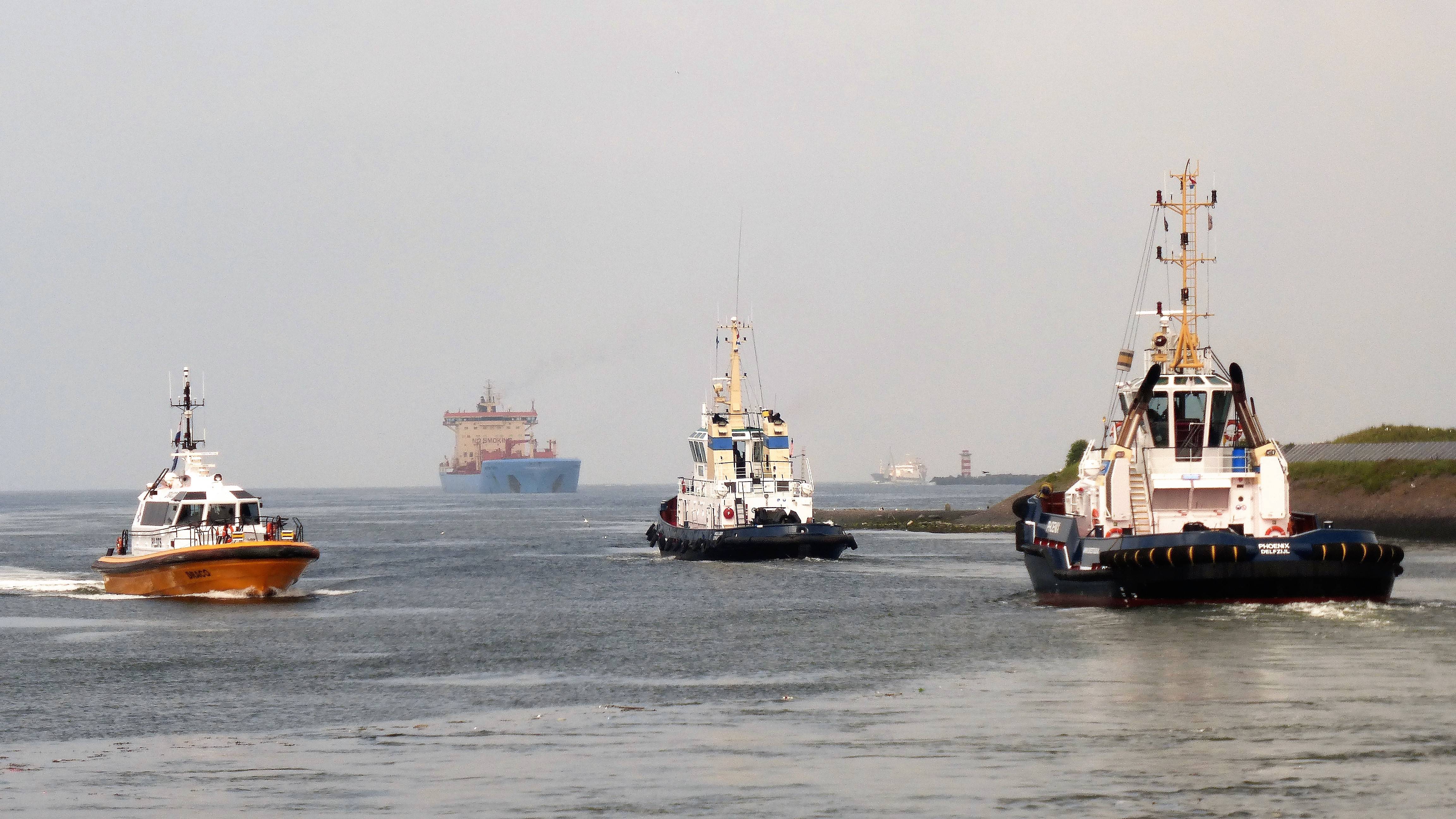 Pieren IJmuiden 15-06-18 